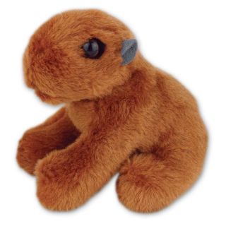 Obrázek z Kapybara sedící plyš 12cm 